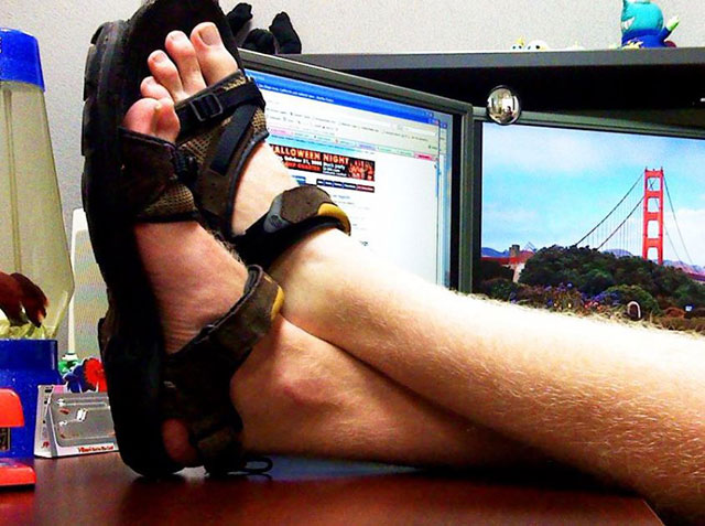 Programmers automate their work and only have to work 2 hours a week but dare not disclose to their boss Picture 2