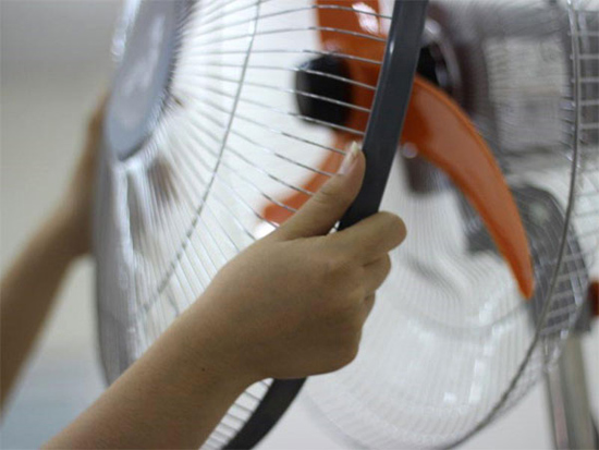 Proper maintenance and cleaning of tree fans Picture 1