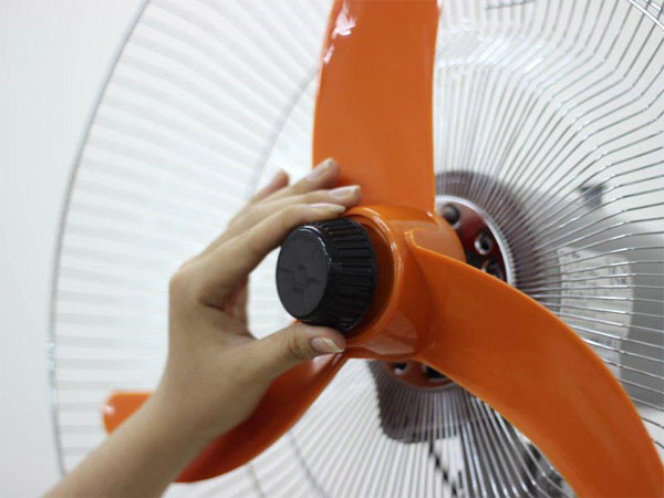 Proper maintenance and cleaning of tree fans Picture 5