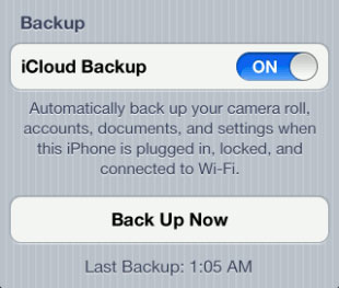 Protect the iPhone from theft Picture 2