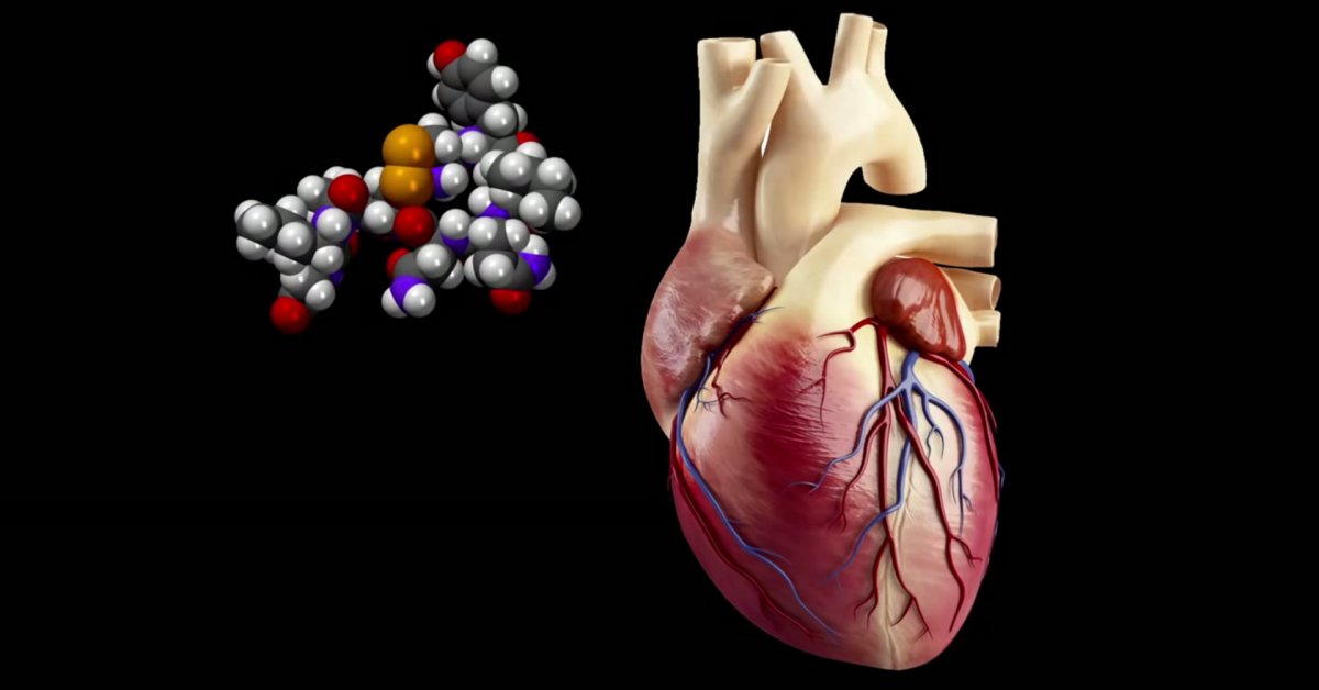 Psychologist from Stanford University: How to turn stress into 'you'? Picture 3