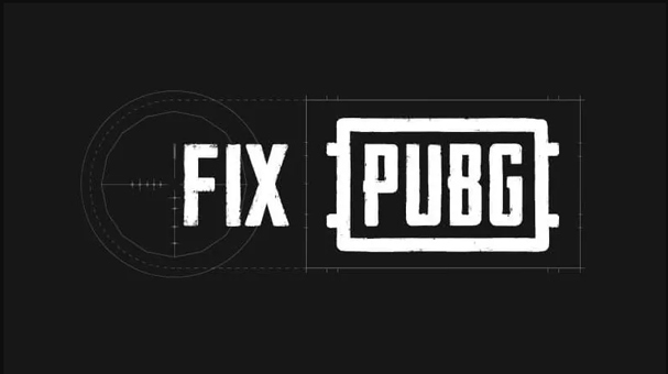 PUBG encountered too many errors, the developer set up his own website to fix Picture 2