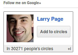 Put Google+ on Wordpress Picture 1