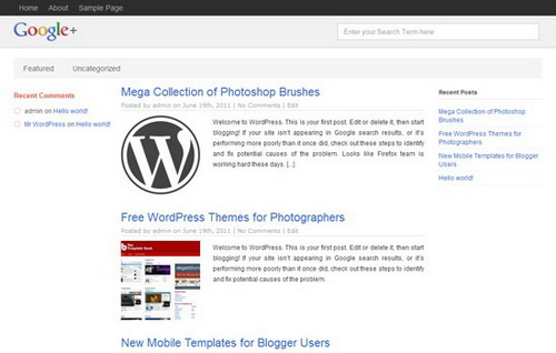 Put Google+ on Wordpress Picture 3