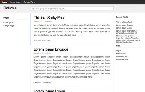 Put Google+ on Wordpress Picture 5