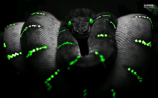 Razer will produce accessories for Xbox One Picture 1