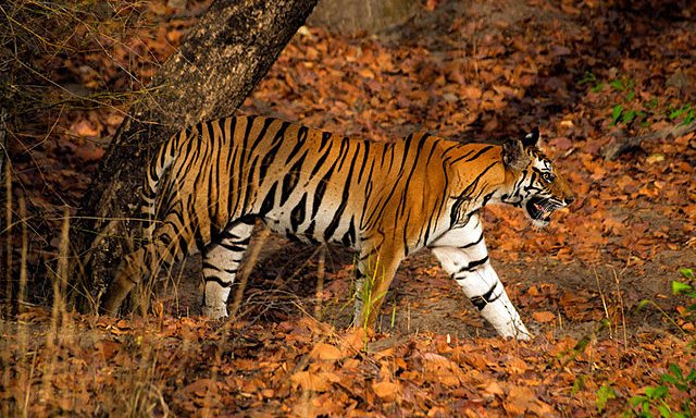 Reasonable suggestions for summer travel abroad Picture 5