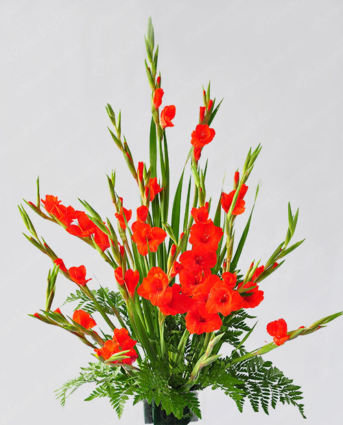 Recipes keep fresh flowers long during Tet holiday Picture 5