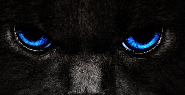 Recruiting beautiful dark colored wallpapers for computers Picture 30