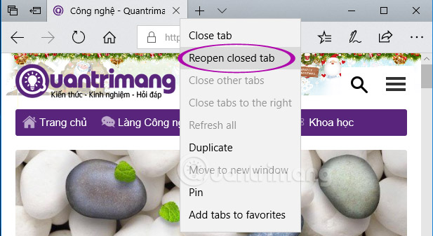 Regain recently closed tabs on Chrome, Firefox, Coc Coc and other browsers Picture 9