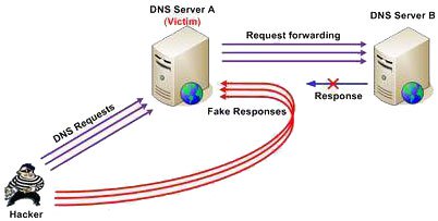 Release software to check DNS server vulnerabilities Picture 1