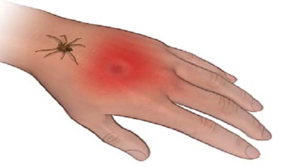 Remember these 10 tips, they will 'save you' someday Picture 2