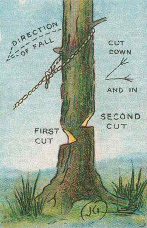 Remember these 10 tips, they will 'save you' someday Picture 6