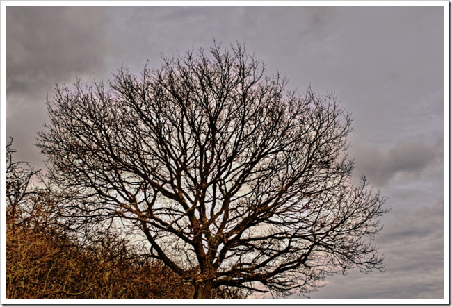 Remove bad details from photos with Adobe Photoshop Picture 17