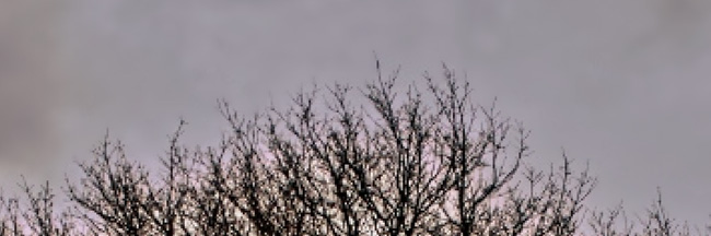 Remove bad details from photos with Adobe Photoshop Picture 20