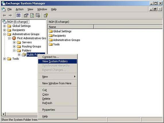 Removing the first Exchange 2003 server (Part I) Picture 1