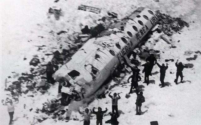 Research: The phenomenon of cannibalism in the animal world and human society Picture 3