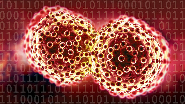 Researchers have figured out how breast cancer spreads to the brain Picture 2