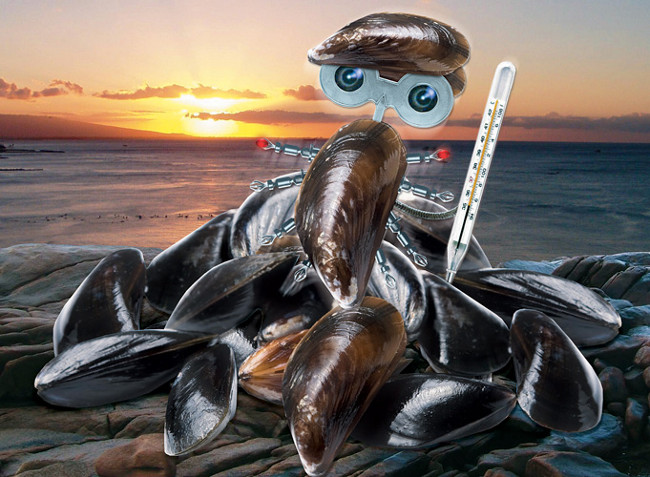 Robot Boys help measure the impact of climate change Picture 1