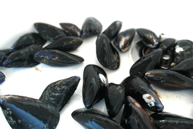 Robot Boys help measure the impact of climate change Picture 3