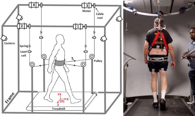 Robot equipment to improve balance and walking for Parkinson patients Picture 1