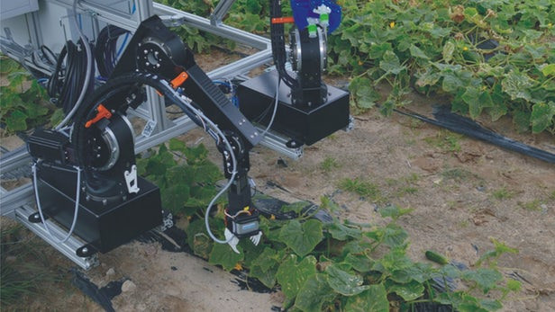 Robots are equipped with two arms to help harvest cucumbers Picture 1