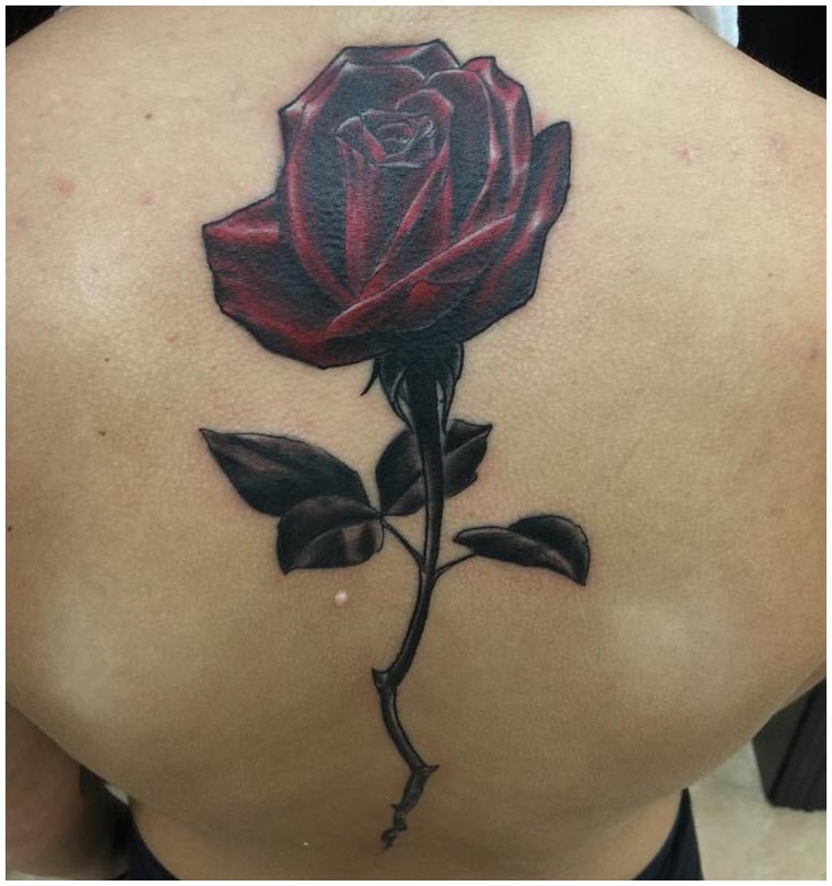 Rose tattoo - The most beautiful rose tattoo patterns Picture 111
