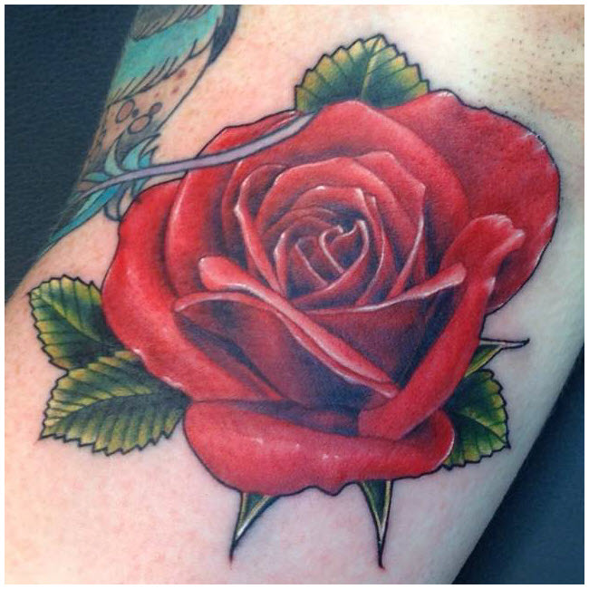 Rose tattoo - The most beautiful rose tattoo patterns Picture 41