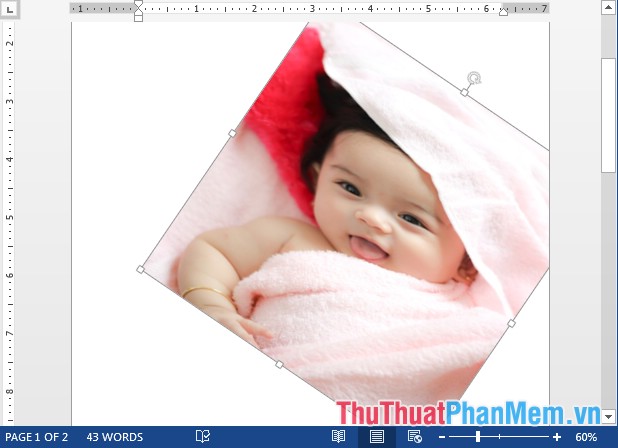 Rotate and move images in Word Picture 5