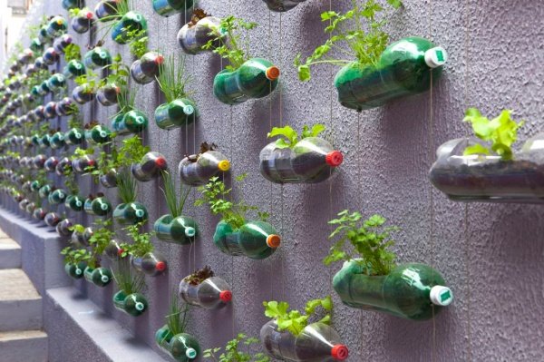 'Round the eyes' with 21 innovative ways to recycle old plastic bottles Picture 1