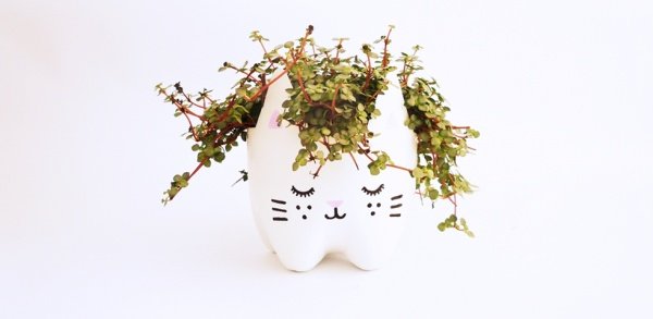 'Round the eyes' with 21 innovative ways to recycle old plastic bottles Picture 25