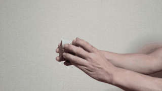 Round your eyes with the magic virtual paper animal toys like magic Picture 5