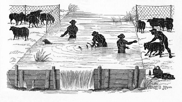 Rounded eyes with 7 bizarre prohibitions can only exist in the Middle Ages Picture 2