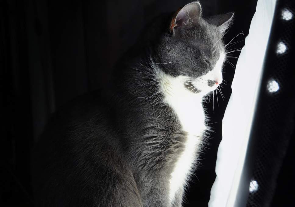 Sad lonely pictures alone Picture 5