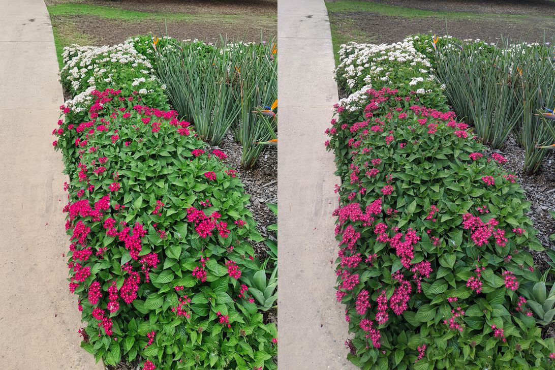 Samsung Galaxy S20 Ultra vs. Google Pixel 4: A camera comparison Picture 4