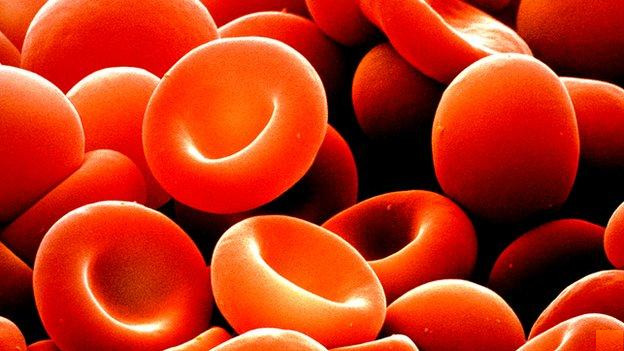 Science to discover new proteins increases the effectiveness of vaccines Picture 2