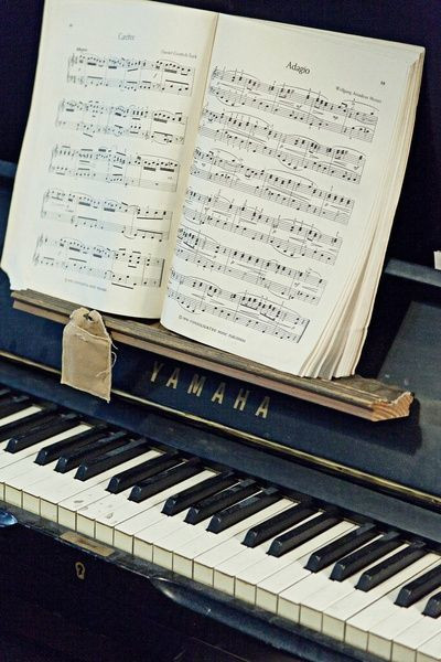 Scientific proof: The piano player's brain is 'very different' from ordinary people Picture 2