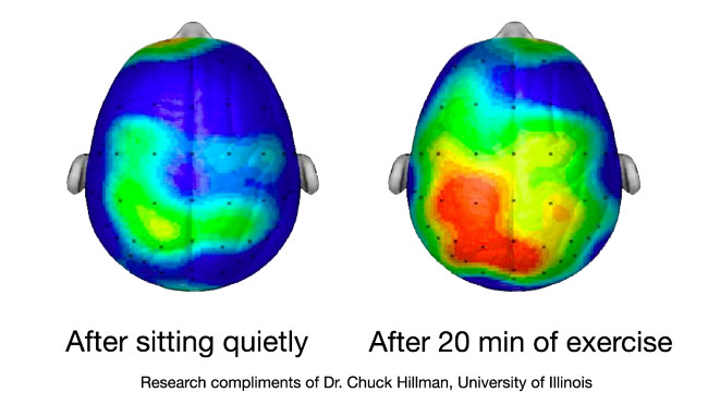 Scientifically proven: Swimming helps the brain stay healthy and reduce stress, fatigue Picture 2