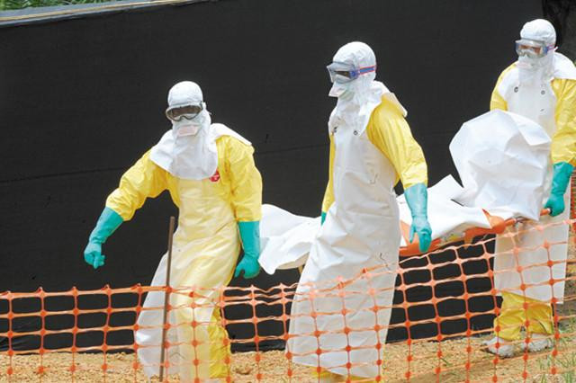 Scientists are predicting the next pandemic, it may have already begun but we don't know Picture 3