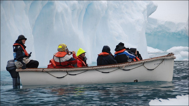 Scientists discover what's left of the oldest Antarctic creature Picture 1