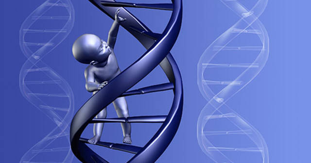 Scientists identified 17 new genetic markers related to longevity Picture 1