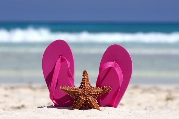 Seafaring need to prepare? Pocket checklist of 17 essentials when traveling this summer Picture 2