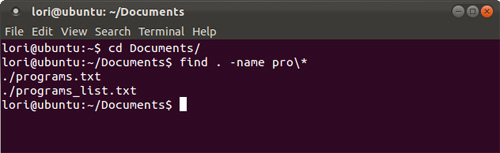 Search for files and directories in Linux using the command line interface Picture 3