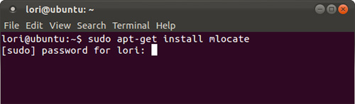 Search for files and directories in Linux using the command line interface Picture 7