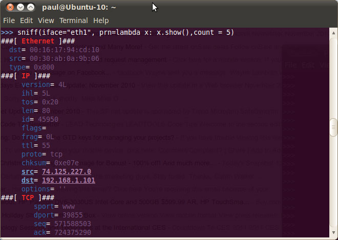 Secure the server with Scapy - Part 1 Picture 2