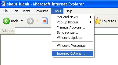 Security for Microsoft Internet Explorer Picture 1
