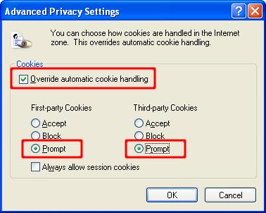 Security for Microsoft Internet Explorer Picture 7