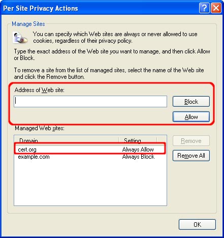 Security for Microsoft Internet Explorer Picture 8