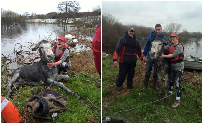 See 17 pictures of simple happiness to help you love life more Picture 4