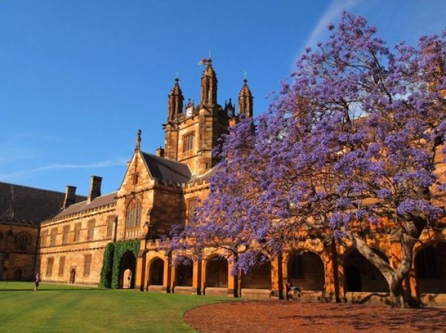 Picture 20 of See the 15 most beautiful universities in the world